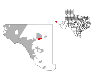 <span class="mw-page-title-main">Homestead Meadows South, Texas</span> Census-designated place in Texas, United States