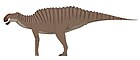 Gryposaurus alsatei