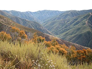 <span class="mw-page-title-main">Mediterranean California</span> Ecoregion of North America