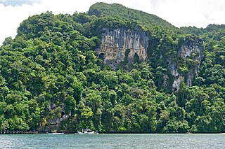 <span class="mw-page-title-main">Tabon Caves</span> Caves and archaeological site in Palawan, Philippines