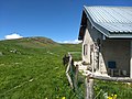 Monte Tombea, la malga d'alpeggio