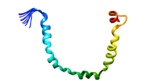 <span class="mw-page-title-main">Apolipoprotein C-III</span> Protein-coding gene in the species Homo sapiens