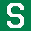 Block-Letter-White-S-Green-BG.jpg