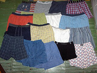 <span class="mw-page-title-main">Underwear</span> Clothes worn under other clothes