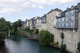 Houses along the Gave d'Aspe river.