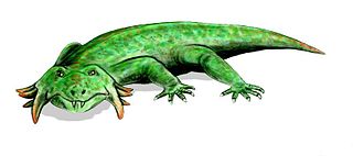 Procolophonoidea Extinct superfamily of reptiles