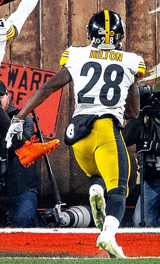 <span class="mw-page-title-main">Mike Hilton</span> American football player (born 1994)