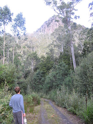 <span class="mw-page-title-main">Mother Cummings Peak</span> Mountain in Tasmania, Australia