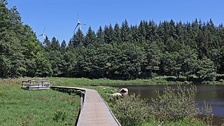 Parcours de découverte de la tourbière.