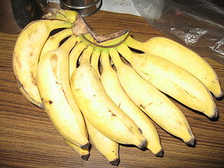 <span class="mw-page-title-main">Nanjanagud banana</span> Edible fruit cultivar