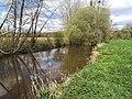 Le Ster Goanez juste avant sa confluence avec l'Aulne (Canal de Nantes à Brest), à la limite entre les communes de Châteauneuf-du-Faou et Lennon.