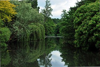 <span class="mw-page-title-main">Syon Park</span>