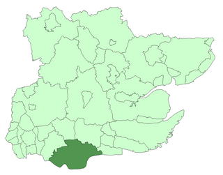 <span class="mw-page-title-main">Thurrock Urban District</span>