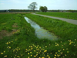 Averlosche Leide in het oude boerenlandschap