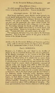 Thumbnail for File:XLIX.—On the terrestrial Mollusca of Dominica and Grenada; with an account of some new species from Trinidad (IA biostor-92509).pdf