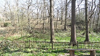 <span class="mw-page-title-main">Abbey Wood SSSI</span>