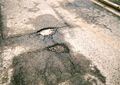 The Banbury Cake and The Banbury Review newspapers did an exposé on the weather induced potholes during the second week of January 2010.