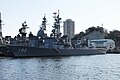 護衛艦はるさめ 2009/01/01