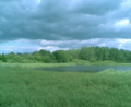 View of the natural reserve "Karower Teiche"