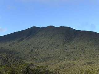 <span class="mw-page-title-main">Mount Hamiguitan</span> Mountain in Davao Oriental, Philippines