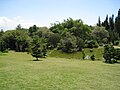 Japanese Garden