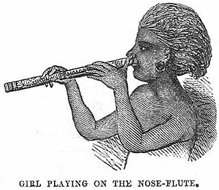 <span class="mw-page-title-main">Nose flute</span> Musical instrument played with air from the nose