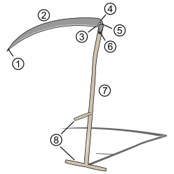 Ju Saise un hiere Deele: 1 Spitse, 2 Blääd, 3/4 Häkke, 5 Klaue, 6 Wurp of Houp, 7 Boom, 8 Krukken