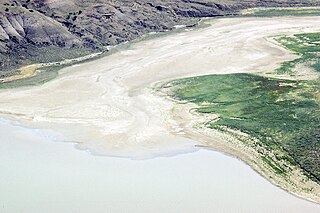 <span class="mw-page-title-main">Lacustrine plain</span> Lakes filled by sediment