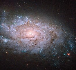 NGC 1984, bost supernoba erakusten dituen galaxia kiribila.