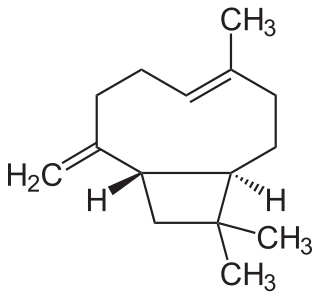 <span class="mw-page-title-main">Caryophyllene</span> Chemical compound