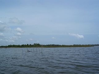 <span class="mw-page-title-main">Bolgoda Lake</span>