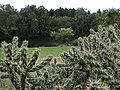 At the Morton Arboretum