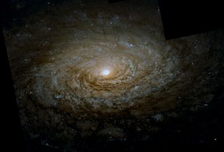 <span class="mw-page-title-main">Messier 63</span> Spiral galaxy in the constellation Canes Venatici