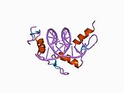 PDB 1a1k EBI.jpg