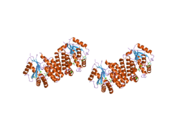 2a2z: Crystal Structure of human deoxycytidine kinase in complex with deoxycytidine and uridine diphosphate