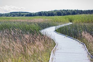 <span class="mw-page-title-main">Presqu'ile Provincial Park</span> Provincial park in Ontario, Canada