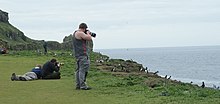 Photographing birds Puffin watching (8958978651).jpg