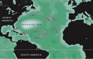 <span class="mw-page-title-main">Sargasso Sea</span> Region of the North Atlantic Ocean