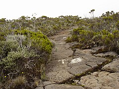 Un sentier traversant la zone autrefois couverte par la réserve naturelle de la Roche Écrite.