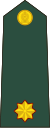 Sri Lanka-army-OF-1a.svg