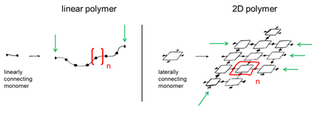 <span class="mw-page-title-main">Two-dimensional polymer</span>