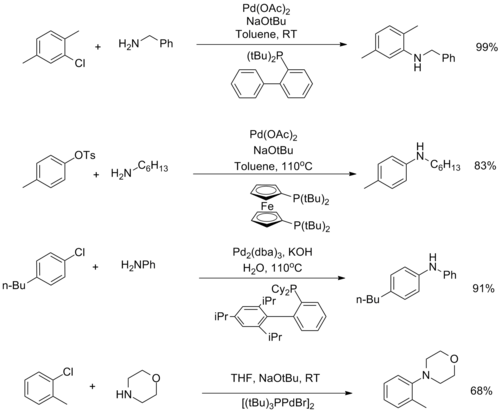 Bulky ligands in the Buchwald–Hartwig amination