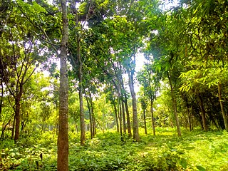 <span class="mw-page-title-main">Alamdanga Upazila</span> Upazila in Khulna, Bangladesh