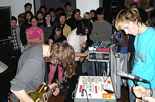 <span class="mw-page-title-main">Black Dice</span> American experimental music duo