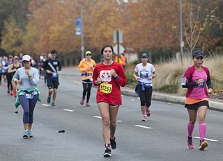 <span class="mw-page-title-main">California International Marathon</span> Annual race in the United States held since 1983