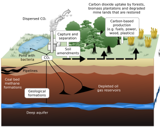 <span class="mw-page-title-main">Carbon sequestration</span> Storing carbon in a carbon pool