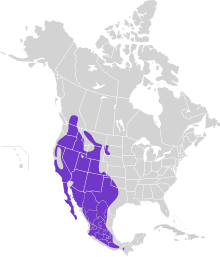 Catherpes mexicanus map.svg