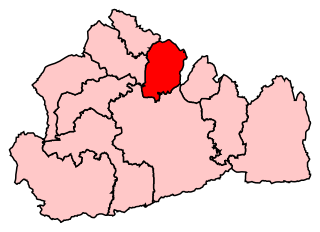 <span class="mw-page-title-main">Esher and Walton (UK Parliament constituency)</span> Parliamentary constituency in the United Kingdom, 1997 onwards