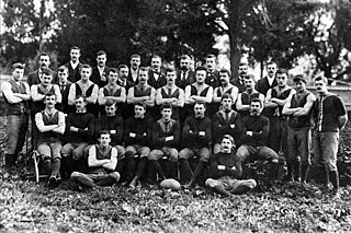 <span class="mw-page-title-main">1898 VFL season</span> Second season of the Victorian Football League (VFL)