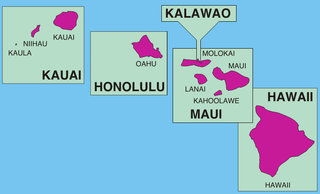 <span class="mw-page-title-main">2008 Hawaii Republican presidential caucuses</span>